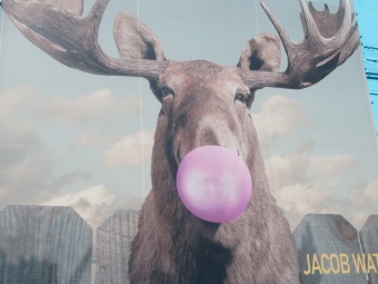 Bubble Gum blowing Moose by Jacob Watts. In the South Loop area of Chicago.